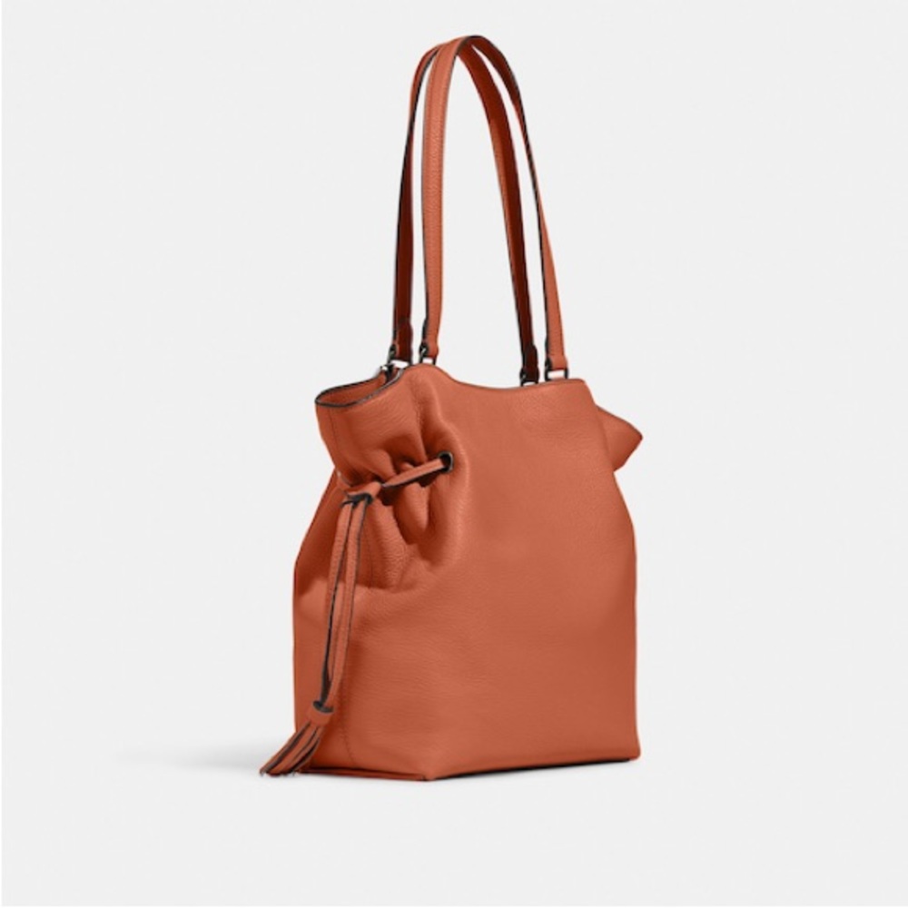 Andy Tote with Horse and Carriage